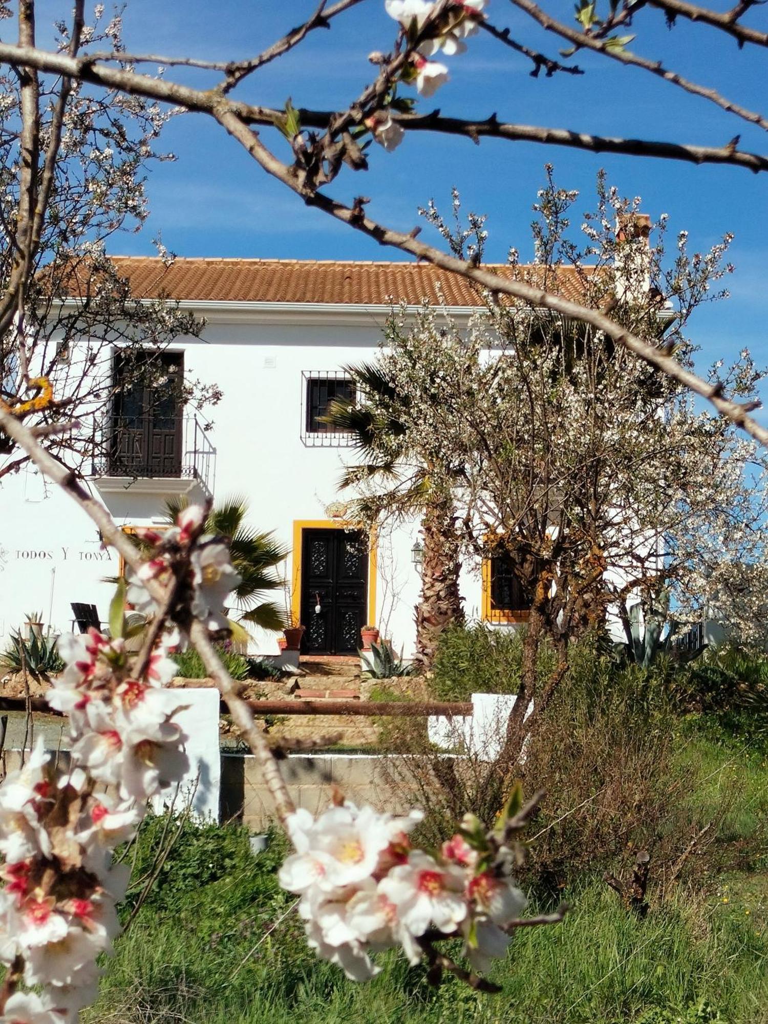Todos Y Tonya Bed & Breakfast Archidona Eksteriør bilde