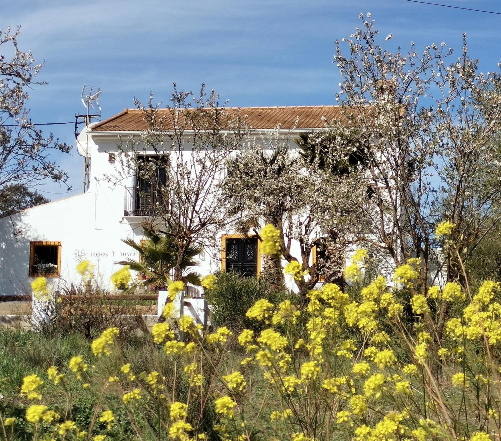 Todos Y Tonya Bed & Breakfast Archidona Eksteriør bilde