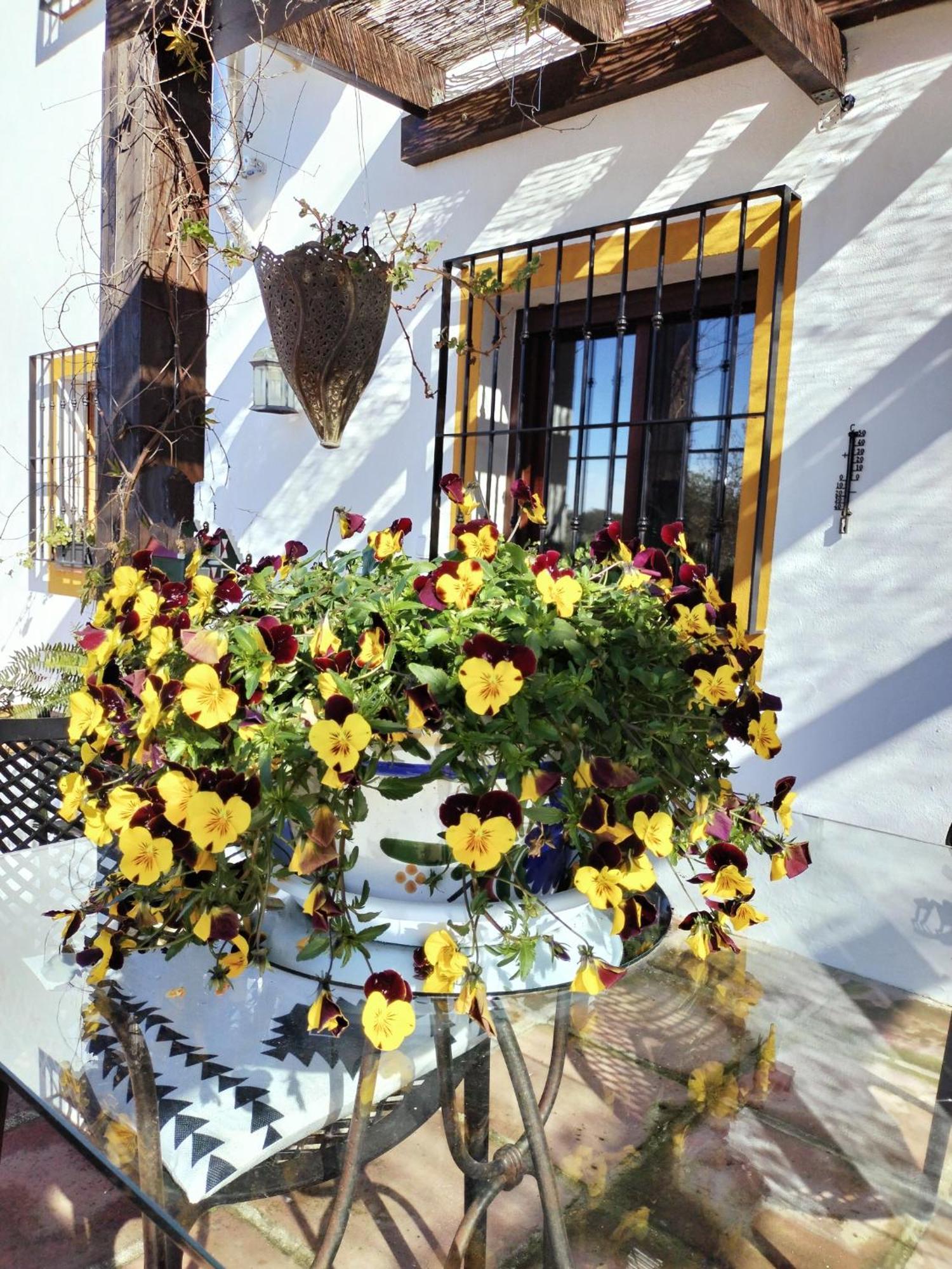 Todos Y Tonya Bed & Breakfast Archidona Eksteriør bilde