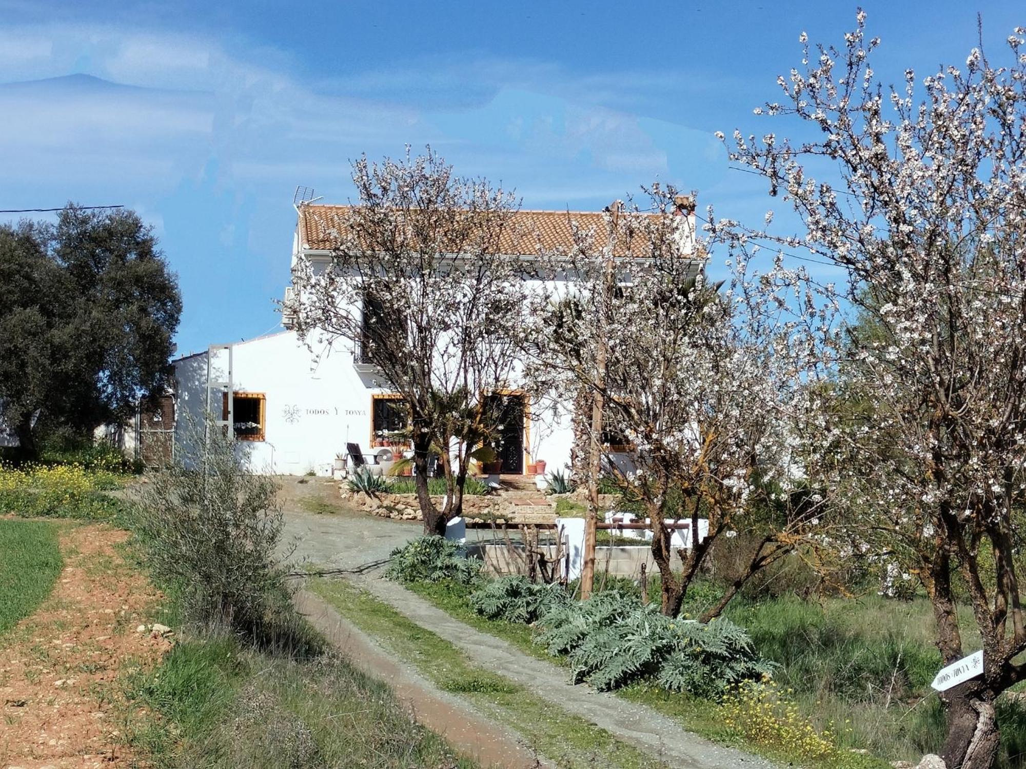 Todos Y Tonya Bed & Breakfast Archidona Eksteriør bilde
